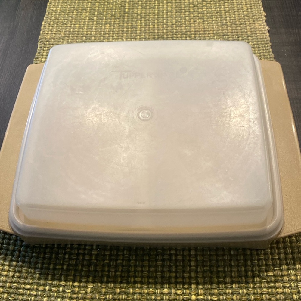 Vintage Tupperware Deviled Egg Container *missing inserts*